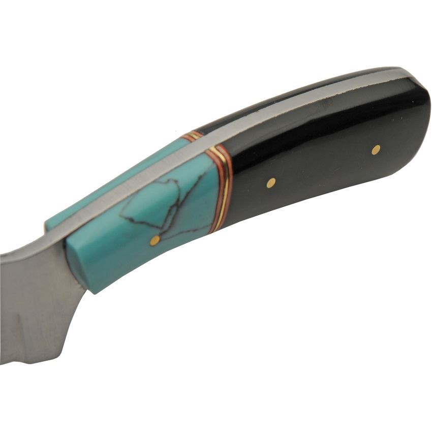 Pakistan 203488 Trailing Point Skinner Satin Fixed Blade Knife Black/Turquoise Handles