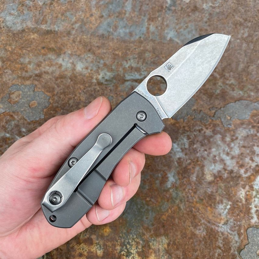 LynchNW WRSDSW Spyderco Standard Clip