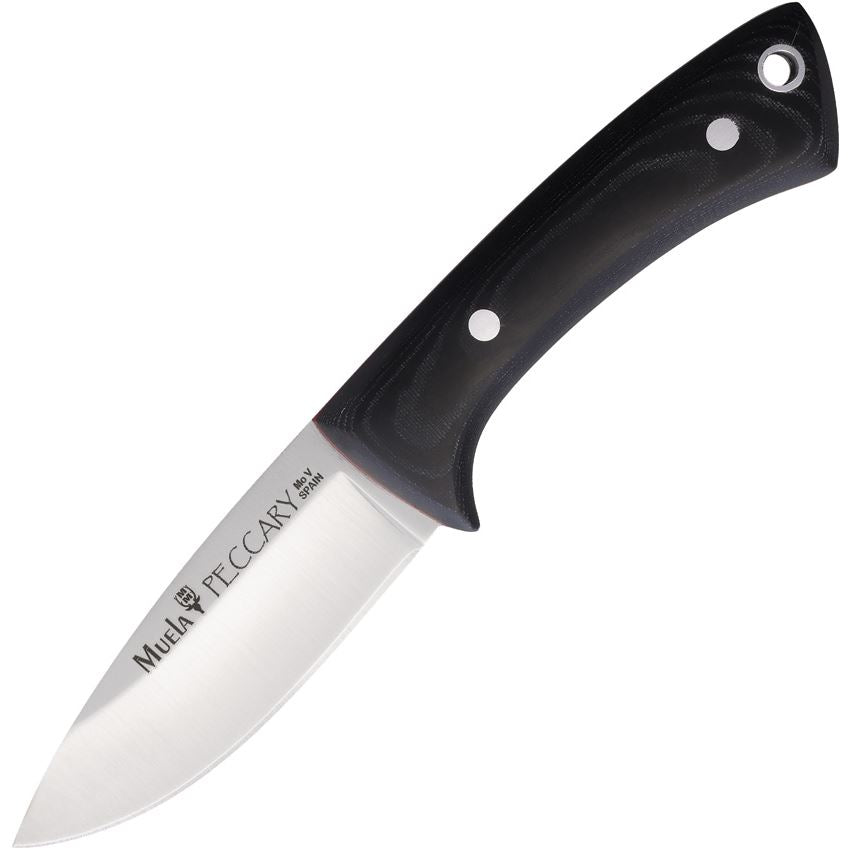 Muela 98286 Peccary Fixed Blade Knife Black Handles