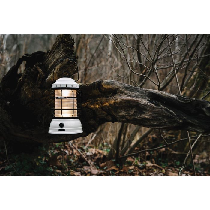 Barebones Living Forest Lantern Vintage White