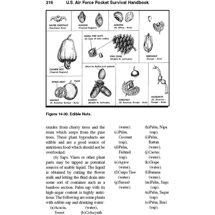 Books U.S. Air Force Pocket Handbook