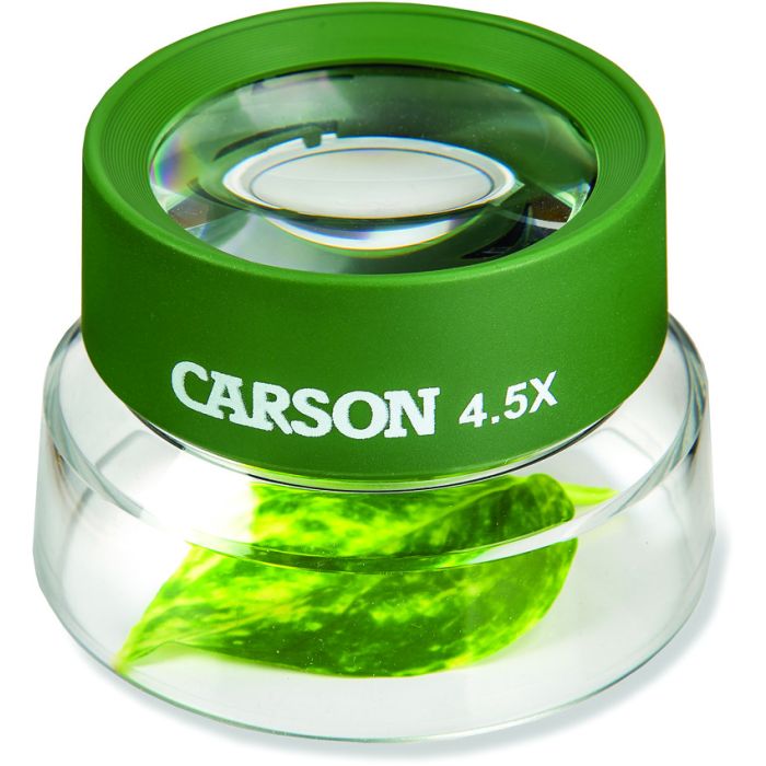 Carson Optics Bug Loupe Stand Magnifier