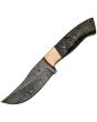 Damascus Ram Copper Skinner