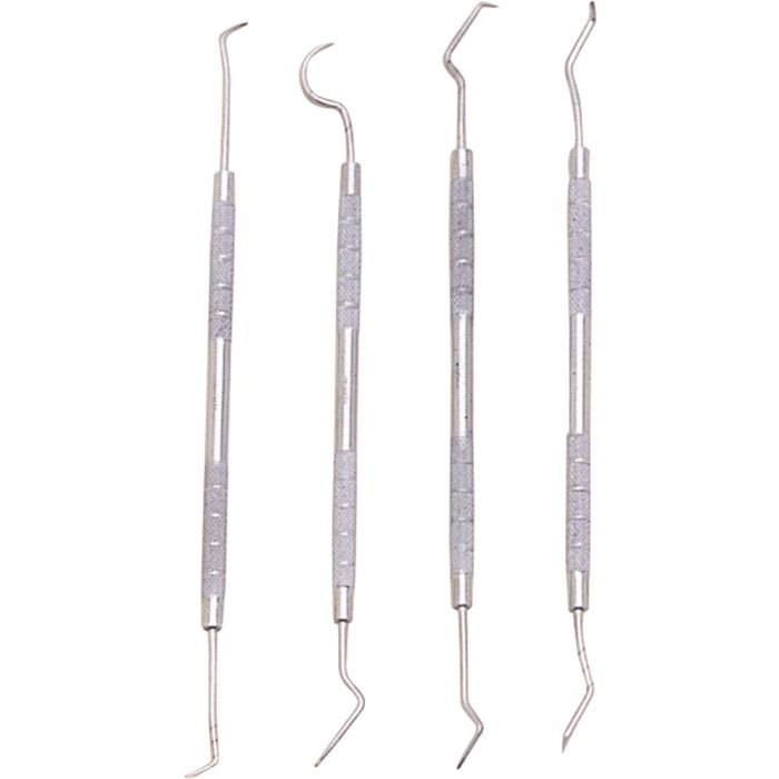 Pakistan Dental Pick Set