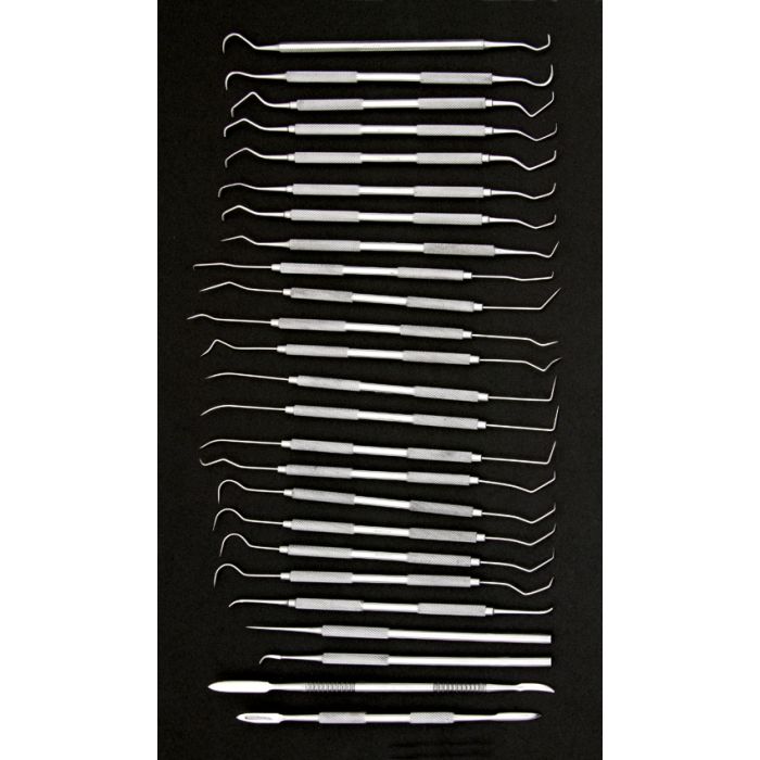 Pakistan 25 Piece Dental Pick Set