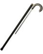 Pakistan Bird Sword Cane