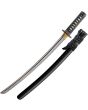 CAS Hanwei Classic Tiger Wakizashi