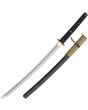 CAS Hanwei Tactical Wakizashi