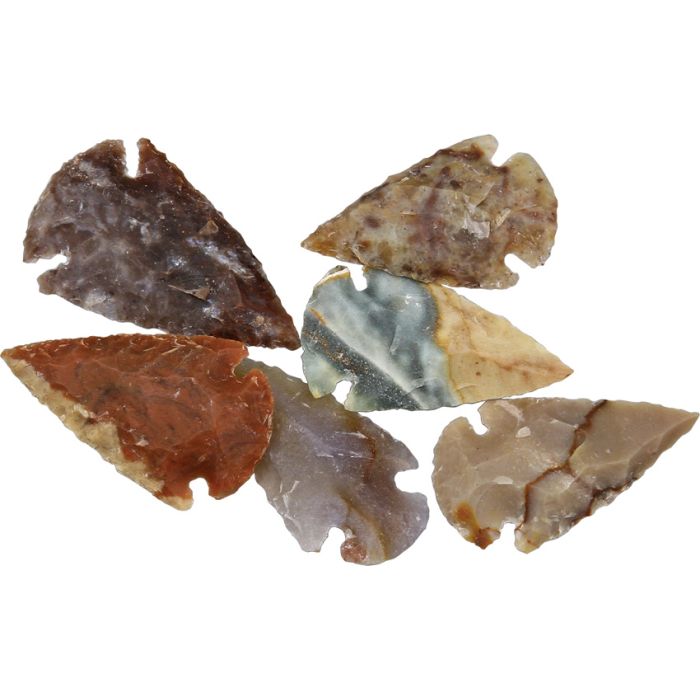 Arrowhead Arrowhead Assortment - Small