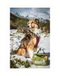 Adventure Medical Workin Dog Medical Kit