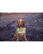 Adventure Medical Workin Dog Medical Kit