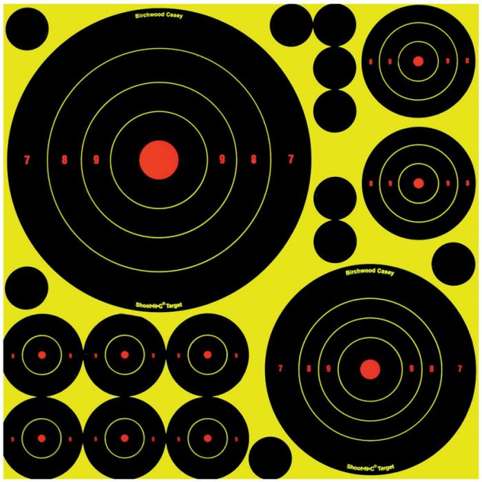 Birchwood Casey Shoot-NC Variety Pack Targets