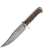 BucknBear-Kings Stag Bowie