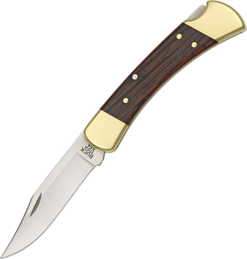 Buck-Model 110 Hunter Lockback