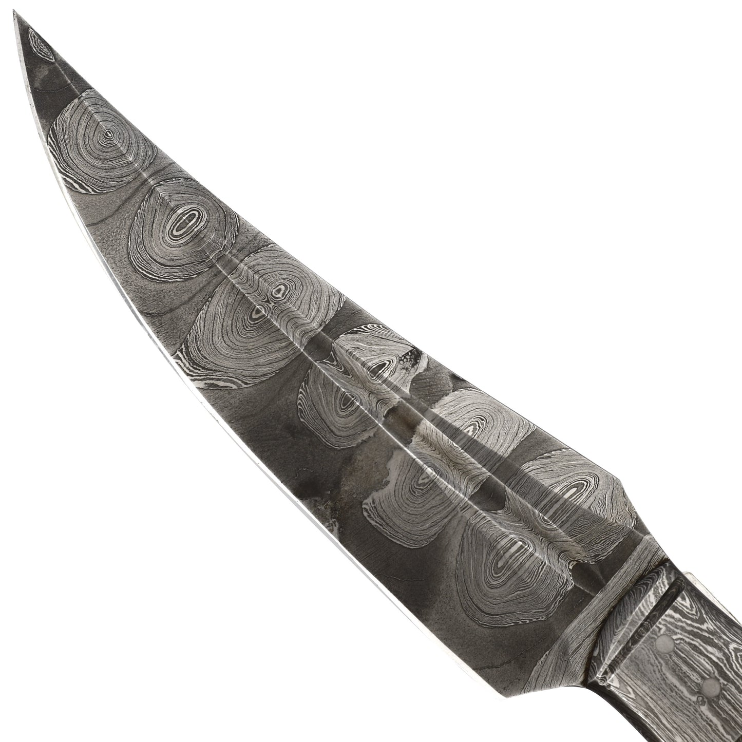 Searching Claw Functional Full Tang Damascus Steel Trailing Point Medium Large Game Hunting Knife w/ Wooden Handle & Genuine Leather Sheath