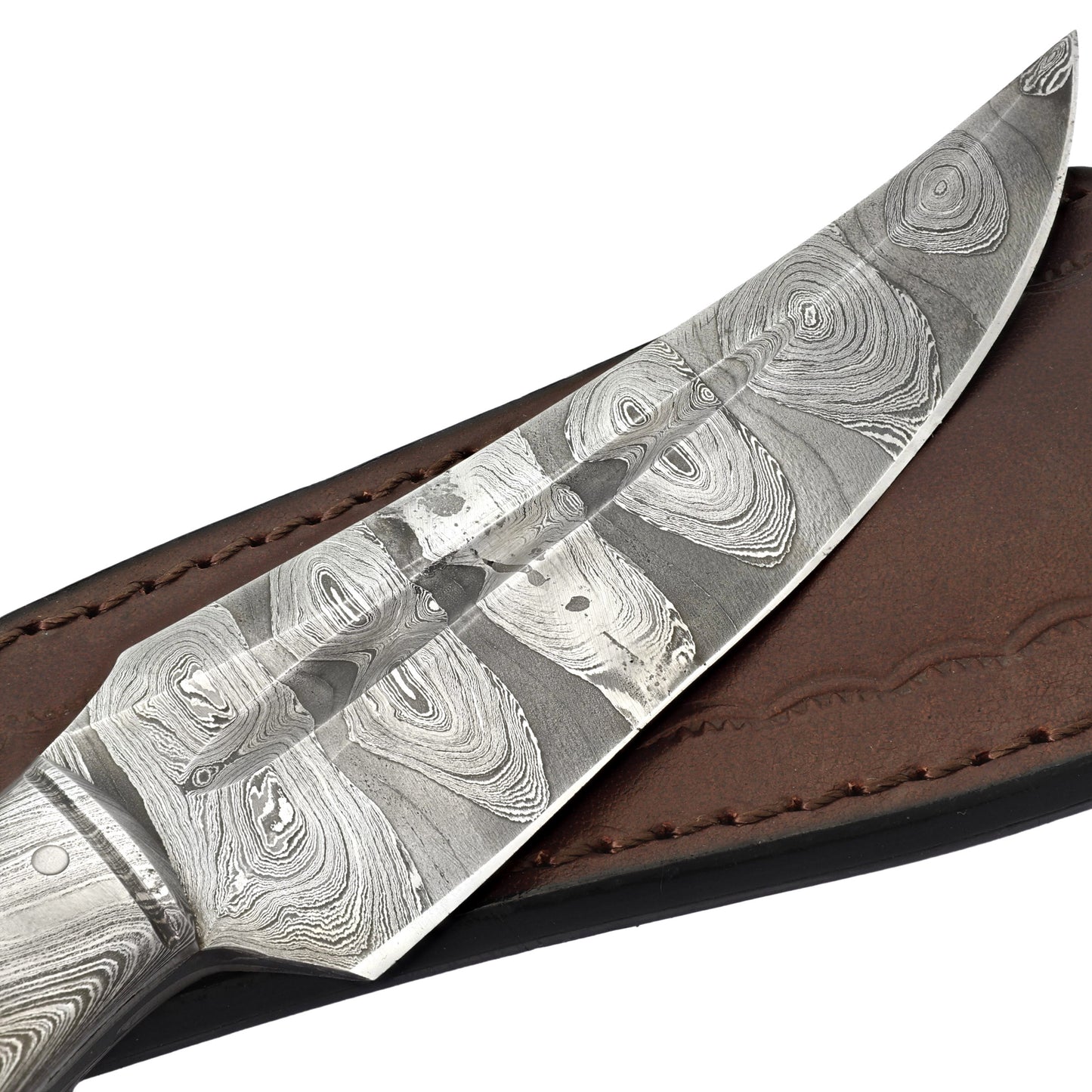 Searching Claw Functional Full Tang Damascus Steel Trailing Point Medium Large Game Hunting Knife w/ Wooden Handle & Genuine Leather Sheath