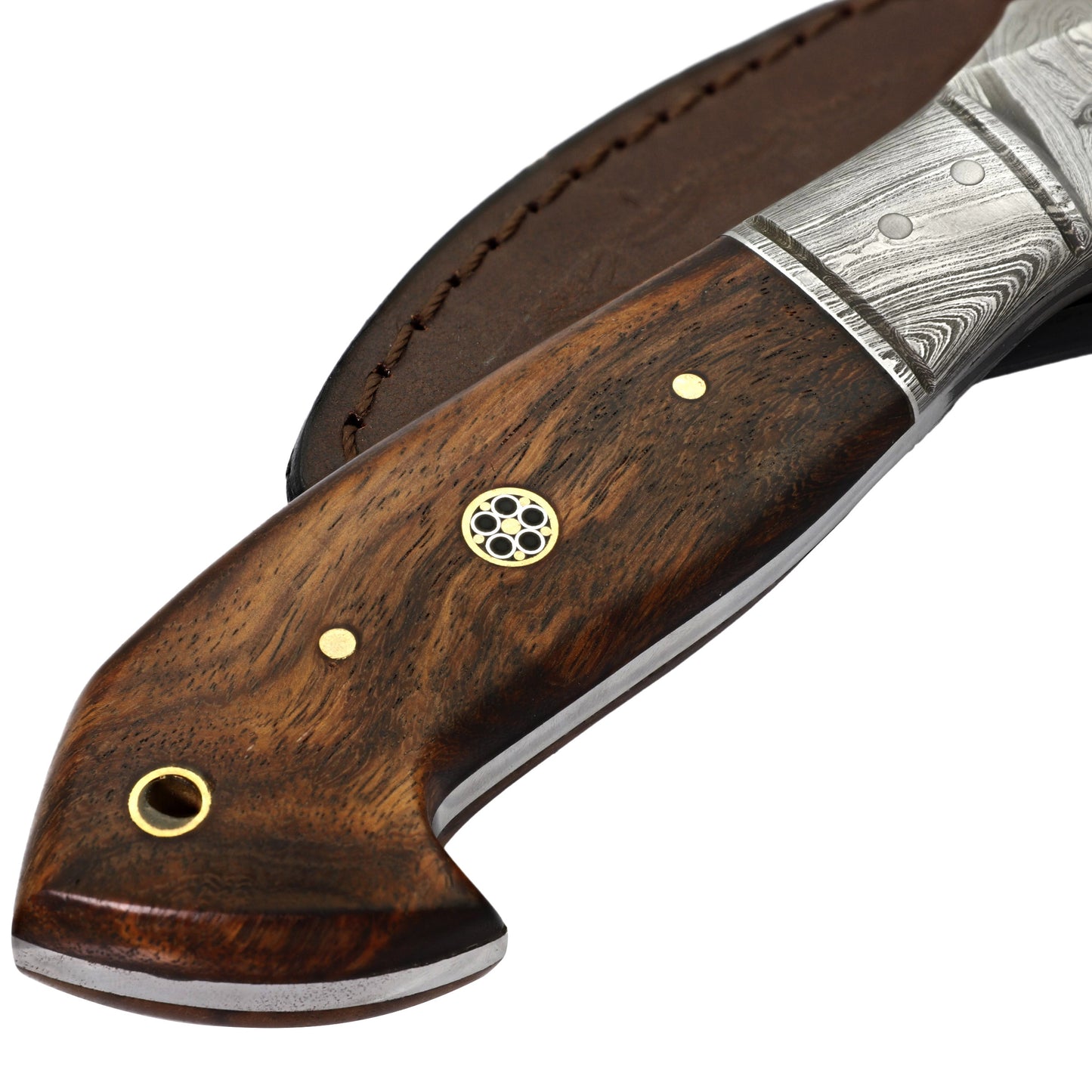 Searching Claw Functional Full Tang Damascus Steel Trailing Point Medium Large Game Hunting Knife w/ Wooden Handle & Genuine Leather Sheath