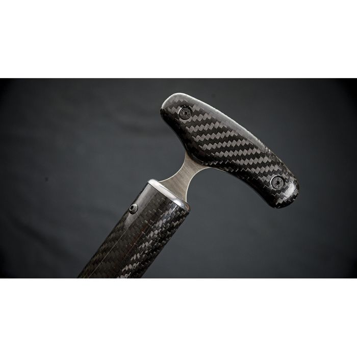 Dragon King Sword Cane Carbon Fiber