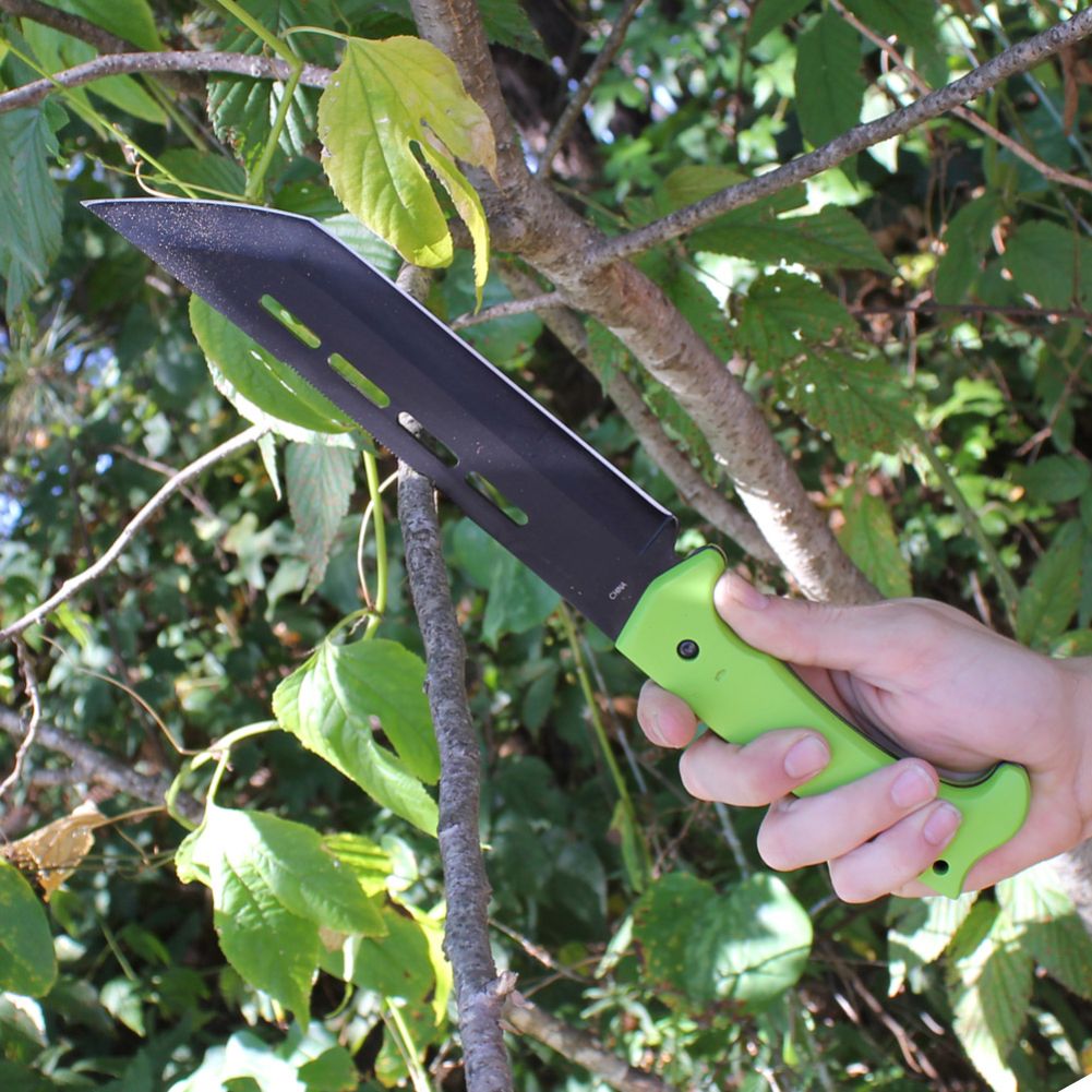 Sawback Praying Mantis Hunting Knife