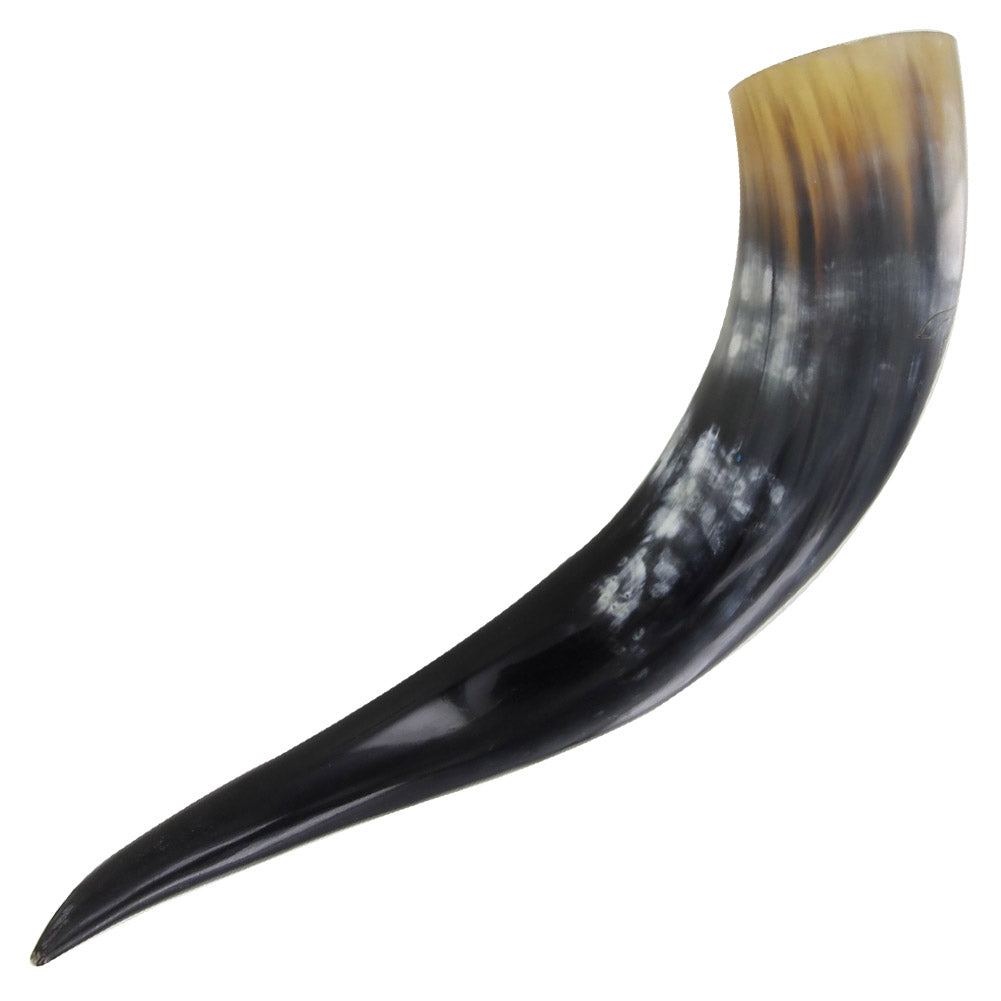 Untamed Stallion Medieval Dining Hall Drinking Horn