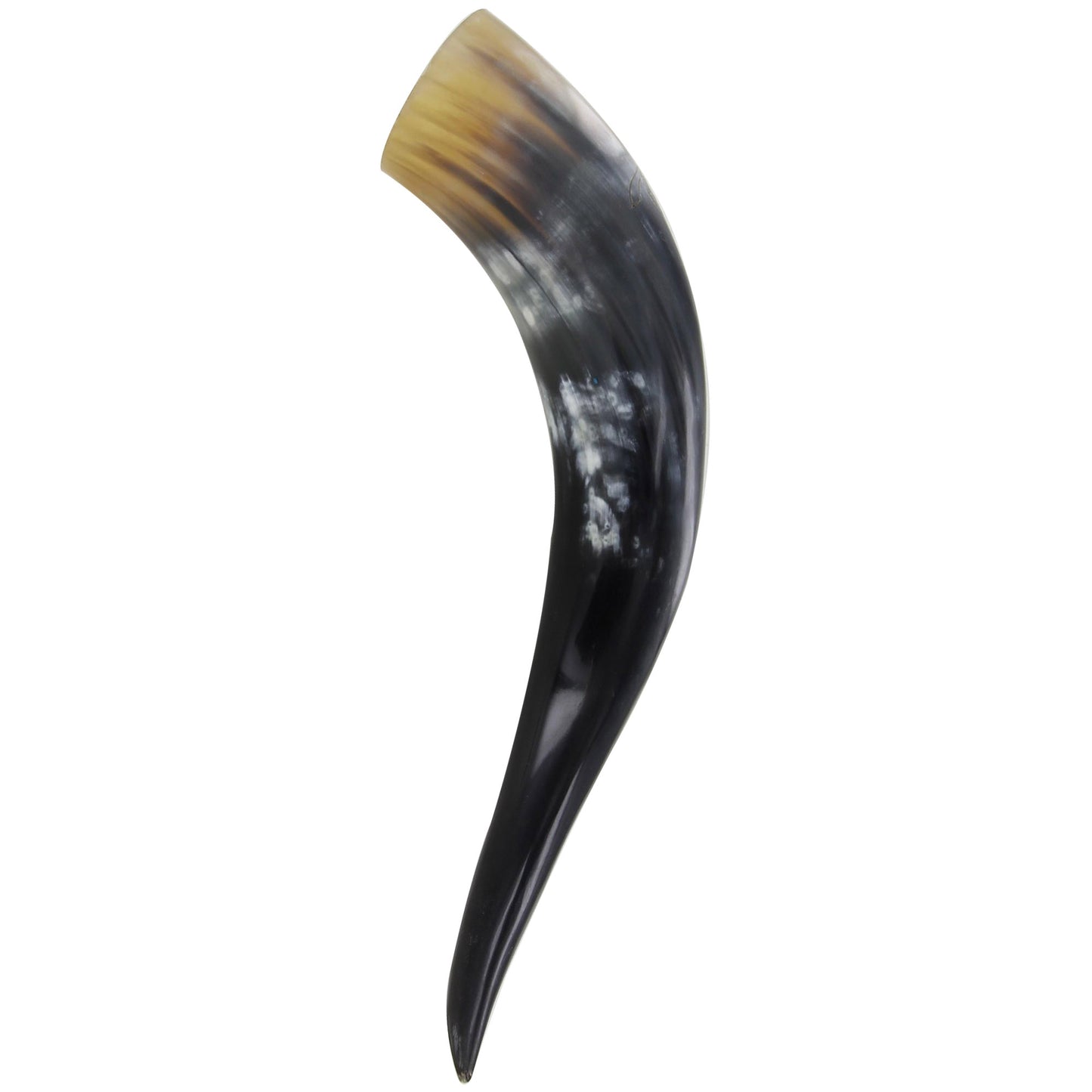 Untamed Stallion Medieval Dining Hall Drinking Horn