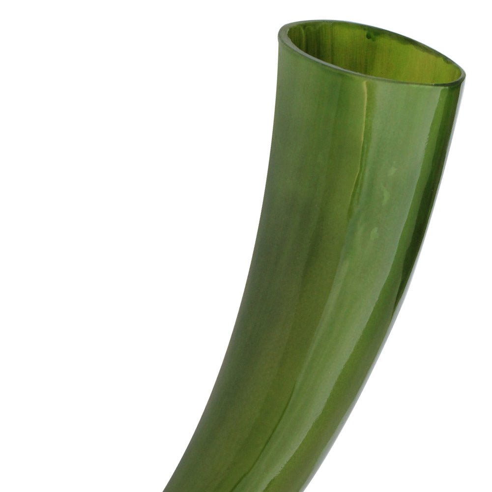 Luck O' The Irish Celtic Drinking Horn