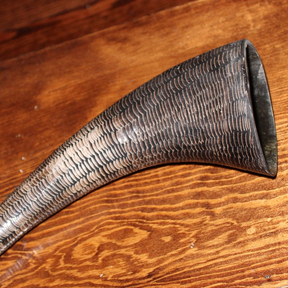 Buffalo Black Drinking Horn