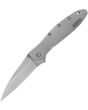 Kershaw Leek Framelock A/O