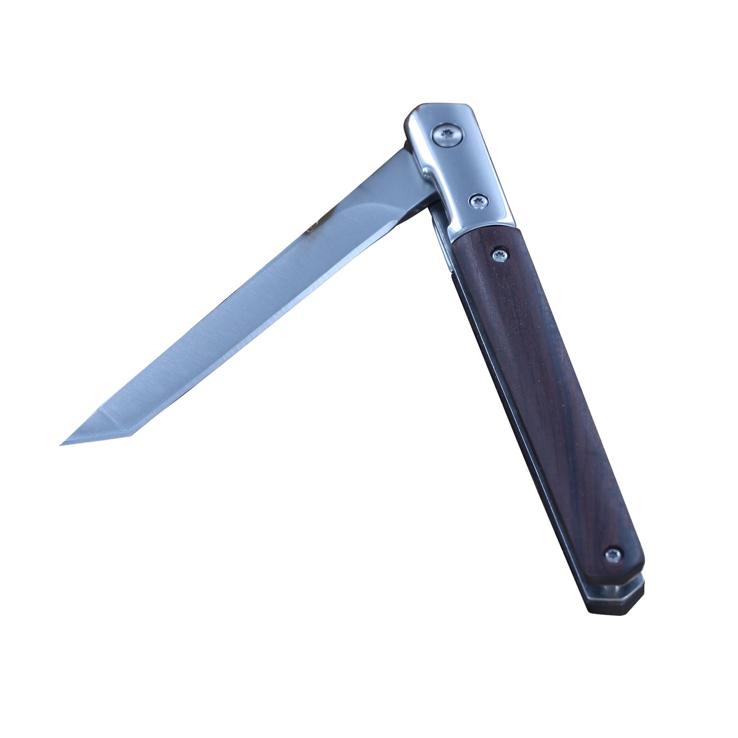 Ricochet Liner Lock Spring Assisted Folding Pocket Knife