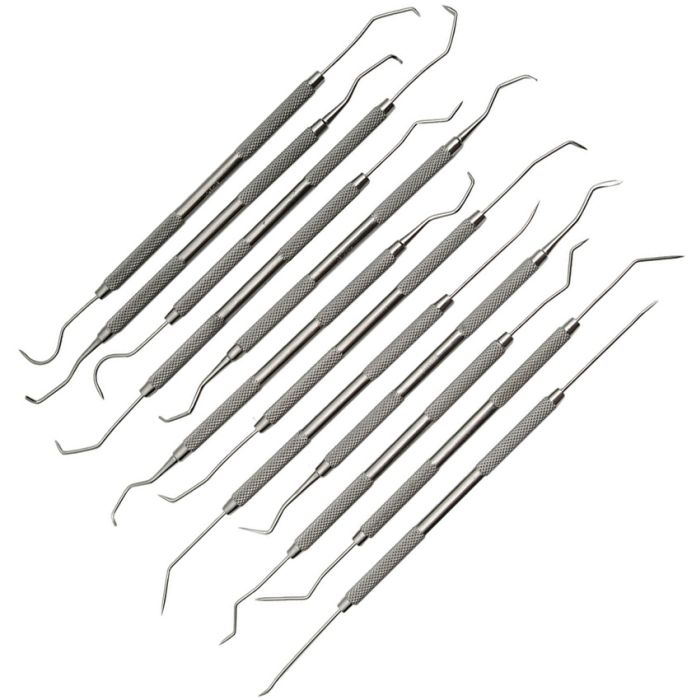 Pakistan Dental Pick Set 12 Pc Assorted