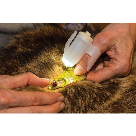 TipSee Light TickSee Tick Removal Kit