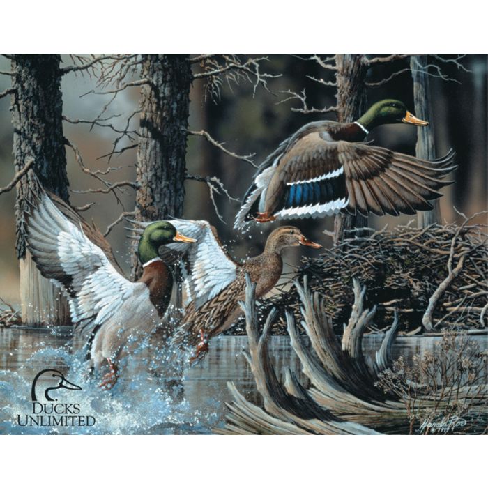 Tin Signs Ducks Unlimited