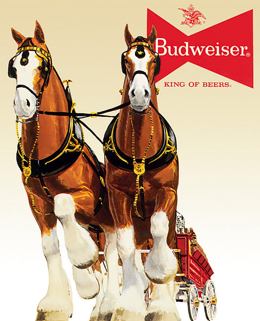 Budweiser Clydesdale Team