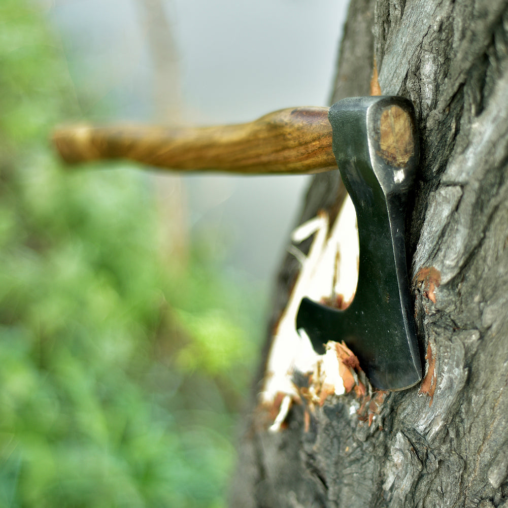 Hand Forged Scandinavian Stoic Beard Axe