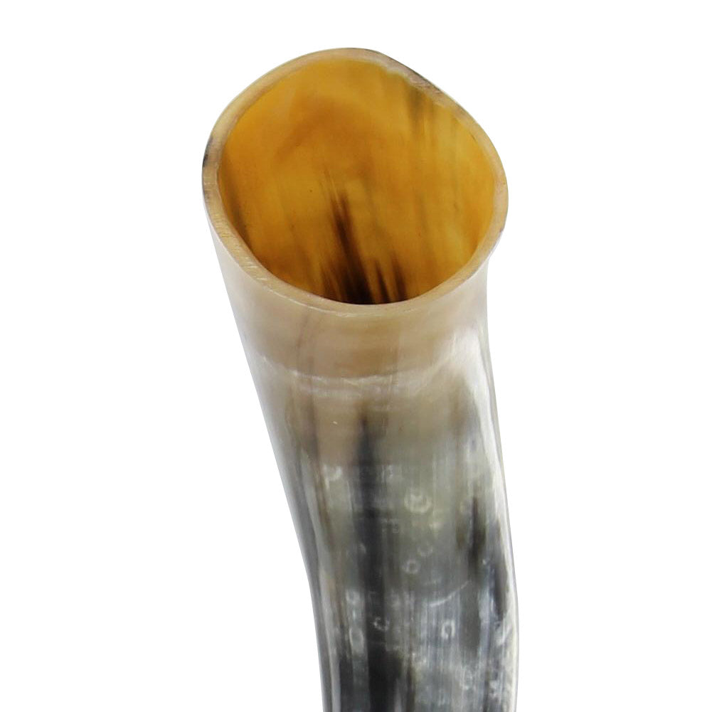 Bottoms Up All Natural Drinking Horn