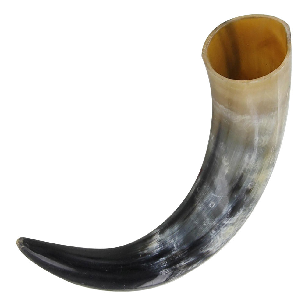 Scandinavian Favorite Pastime Drinking Horn