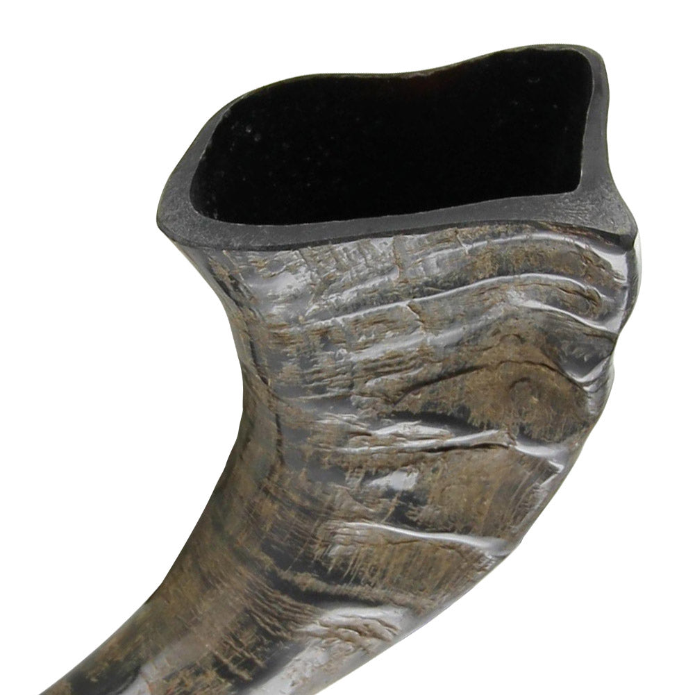 Renaissance Medieval Spring Equinox Viking Celebration Drinking Horn