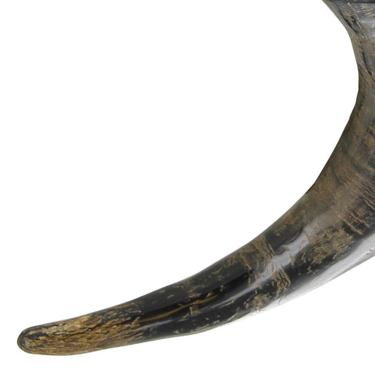 Renaissance Medieval Spring Equinox Viking Celebration Drinking Horn