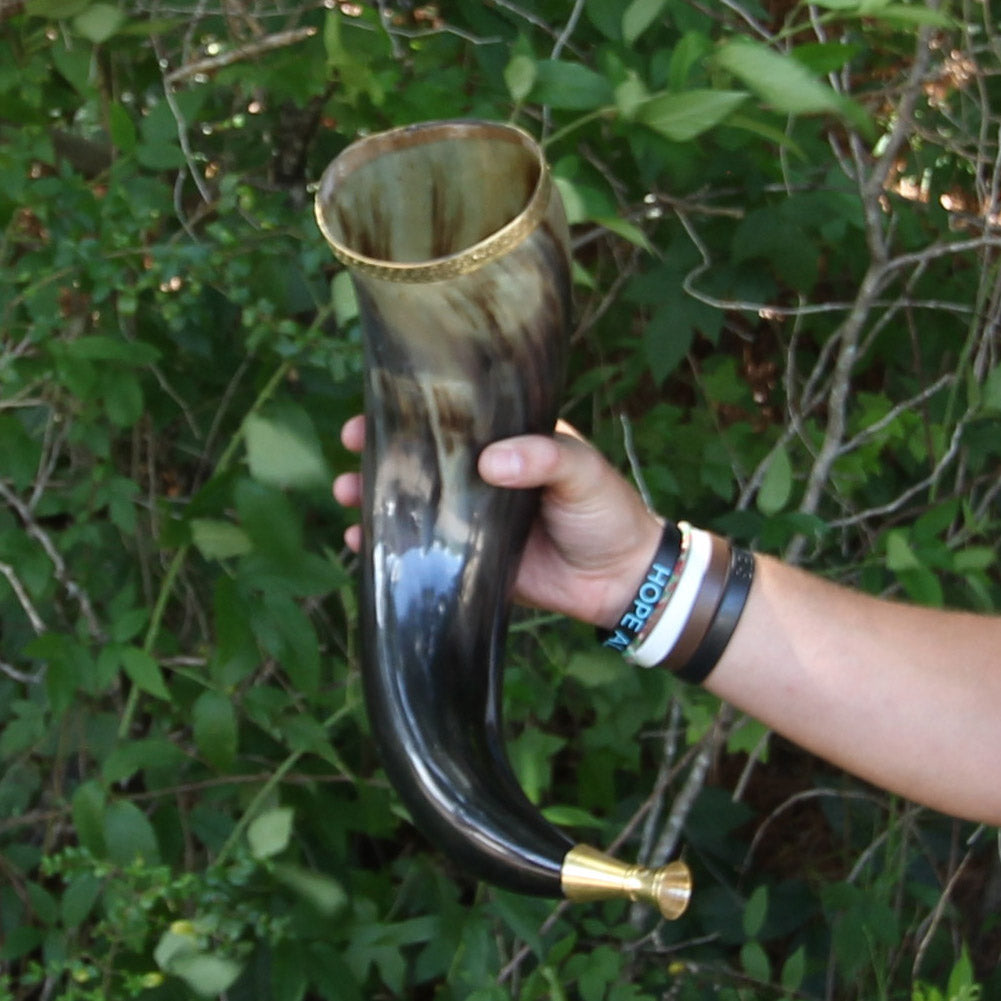 Cow Horn with Brass Rim Trumpet